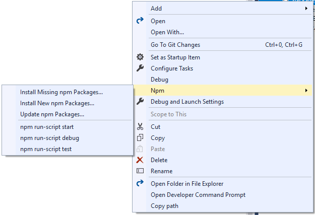npm menu in solution explorer
