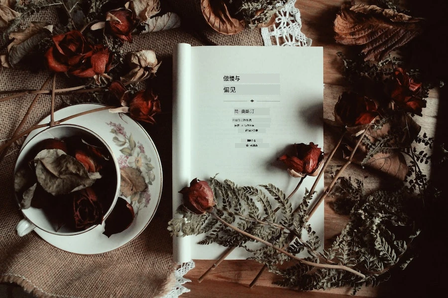 傲慢与偏见书籍与茶