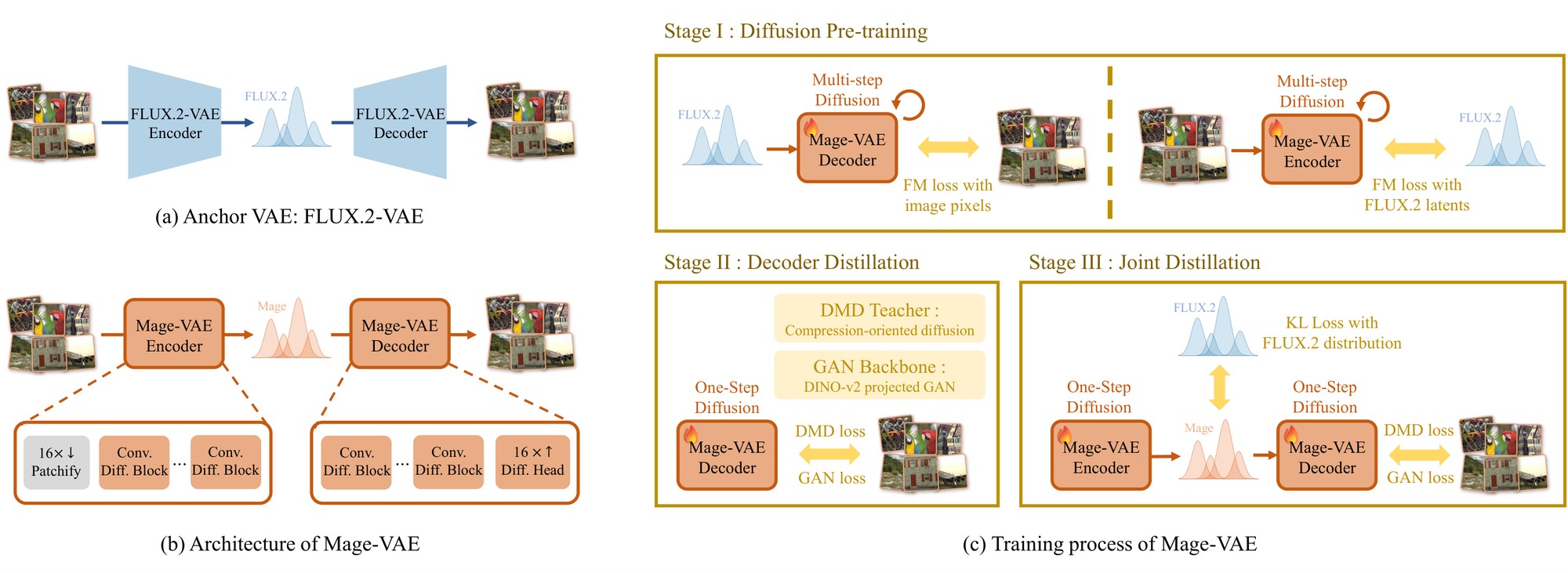 Mage-VAE architecture and training