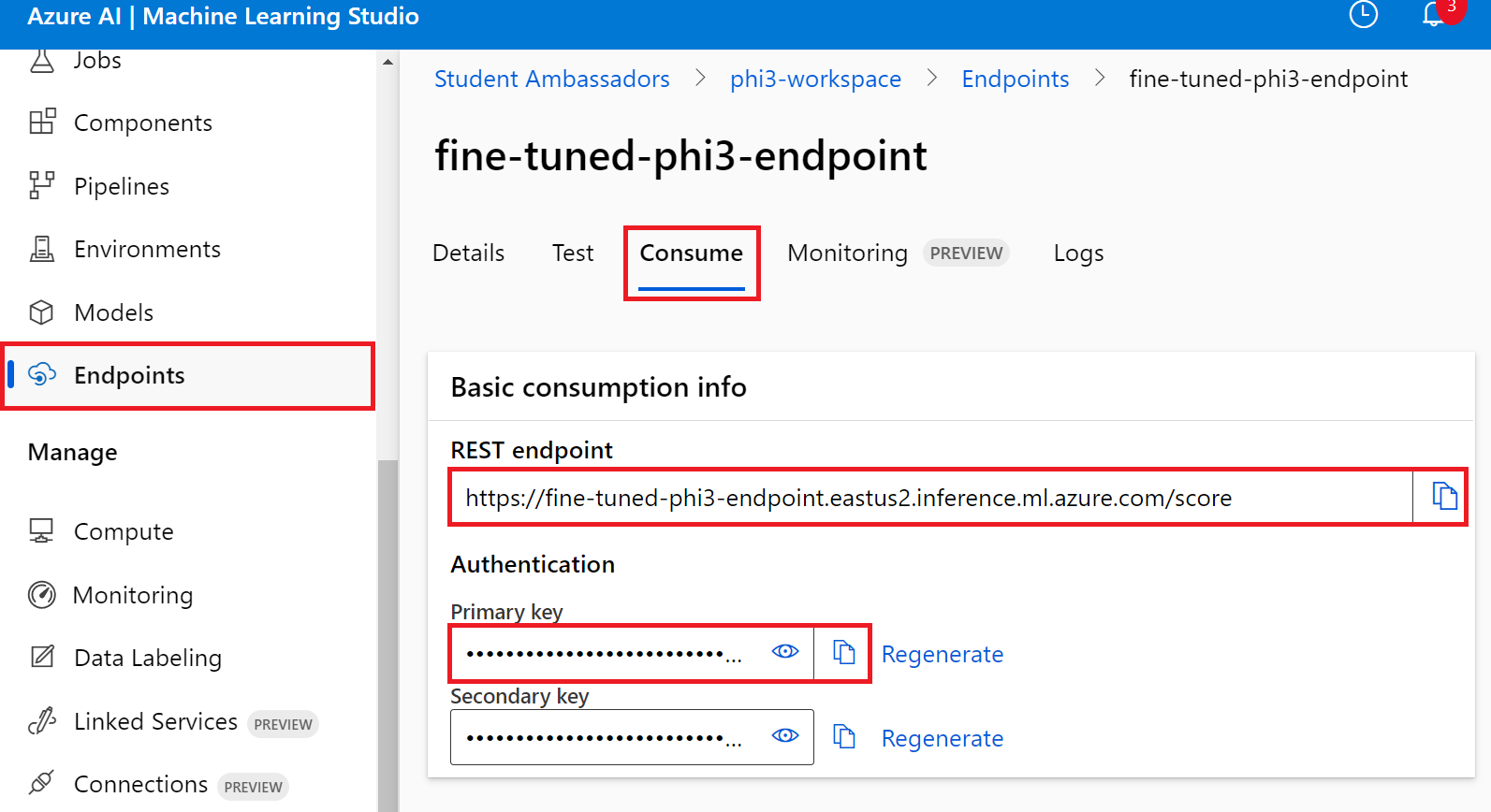 Copy api key and endpoint uri.