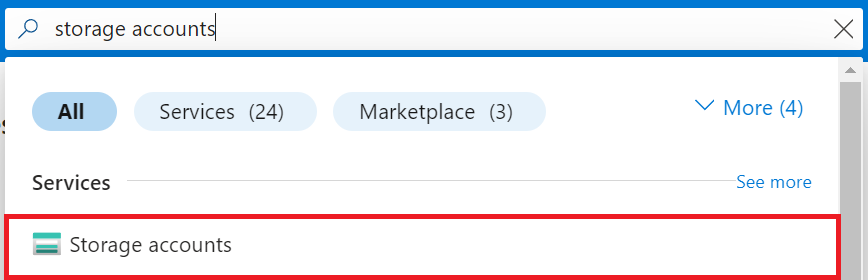 Type storage accounts.