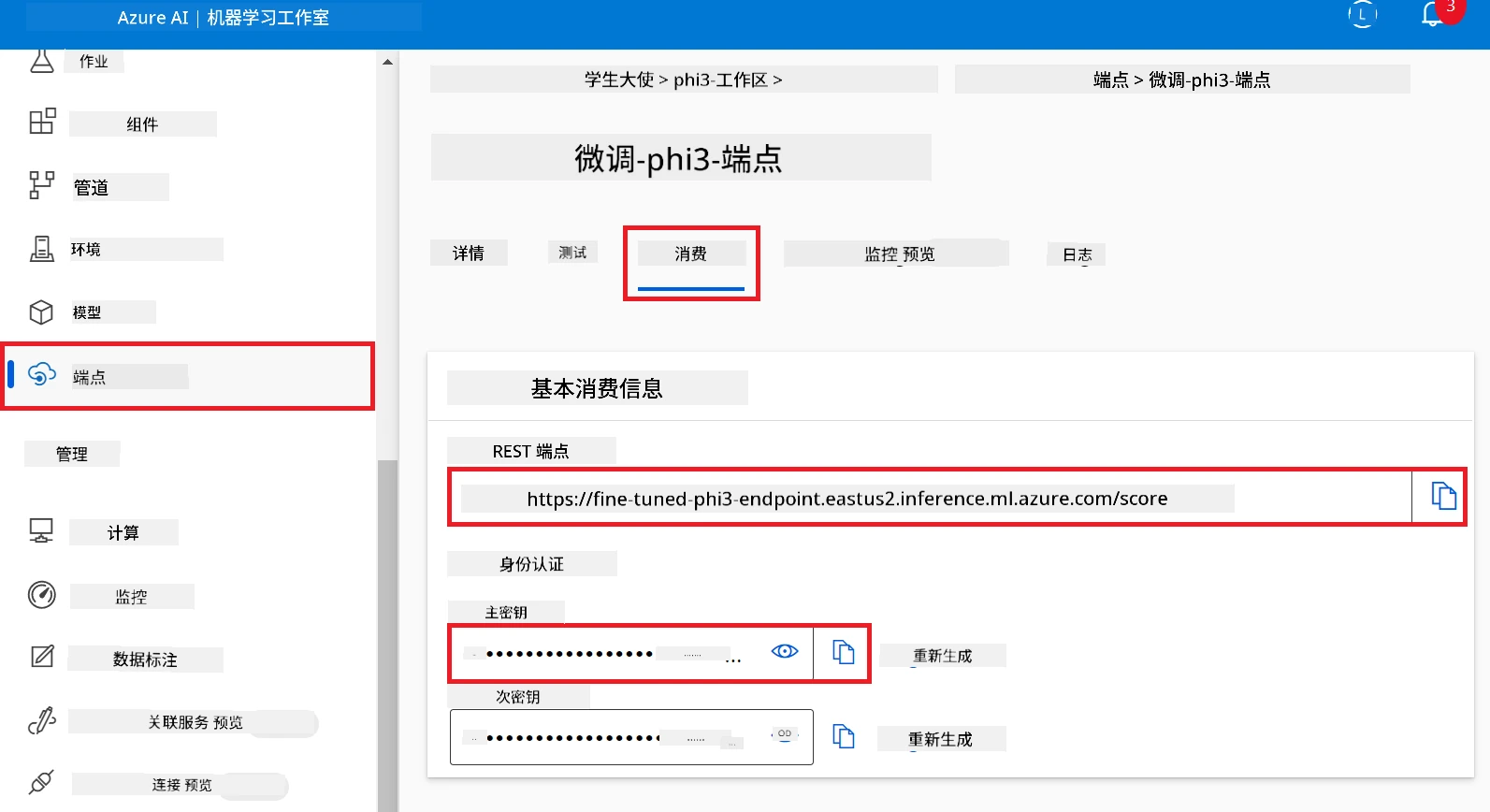 Copy api key and endpoint uri.