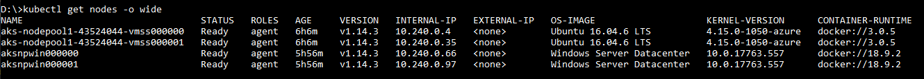 Output of kubectl get nodes