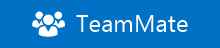 TeamMate Logo