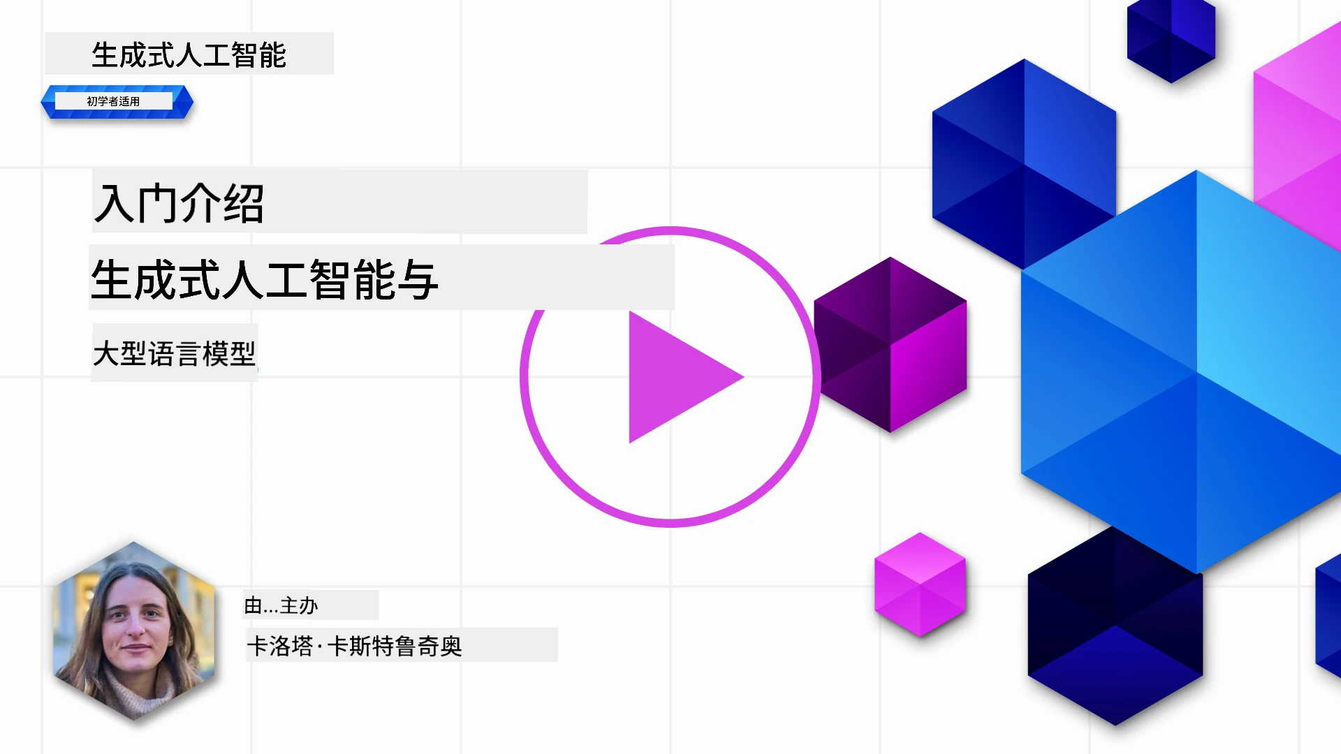 生成式人工智能和大型语言模型入门