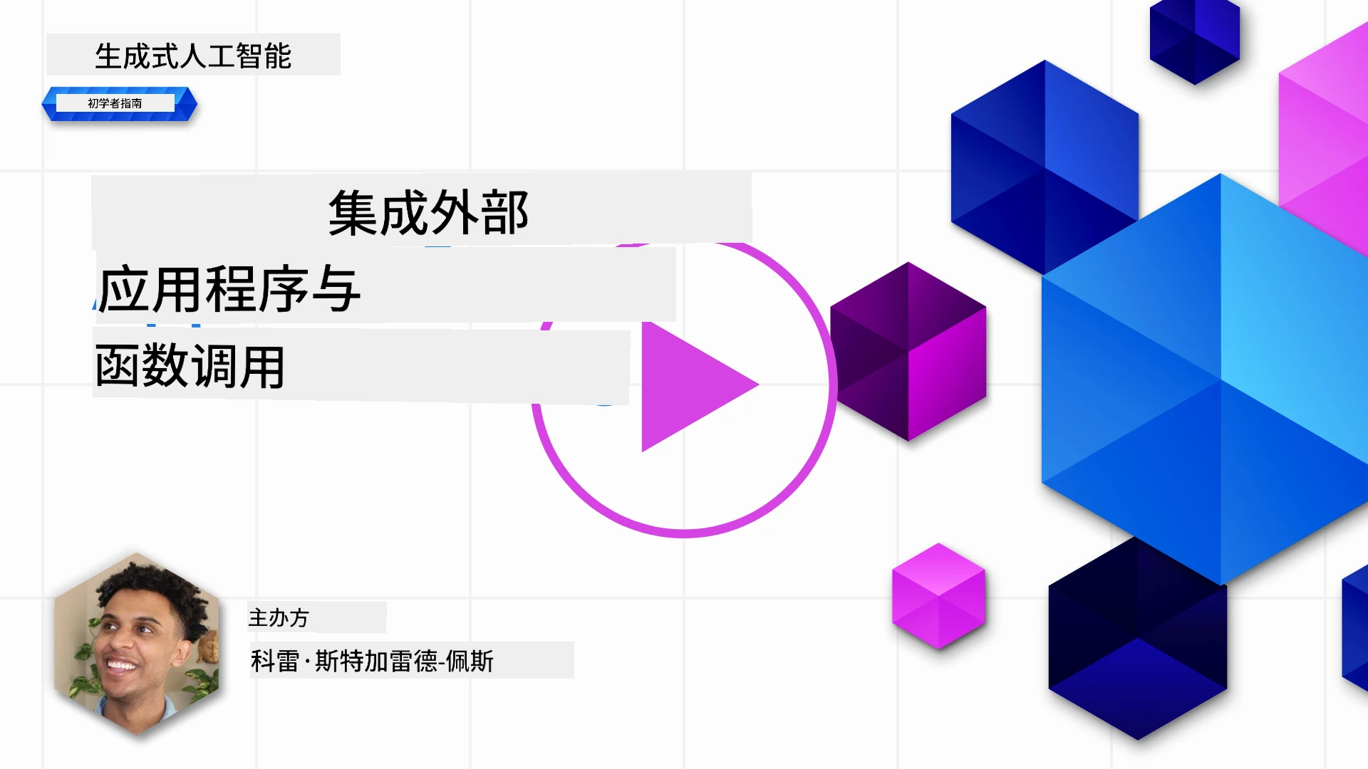 集成函数调用