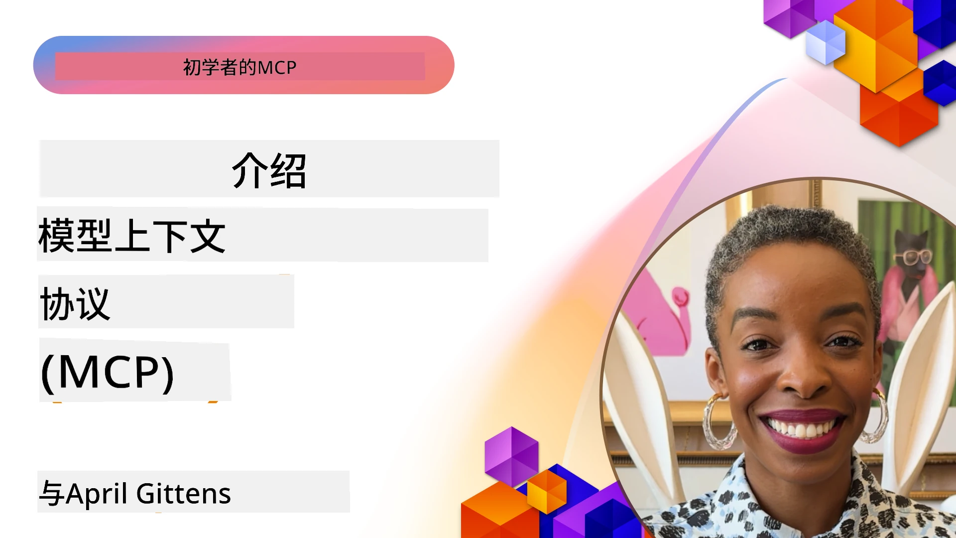 模型上下文协议简介