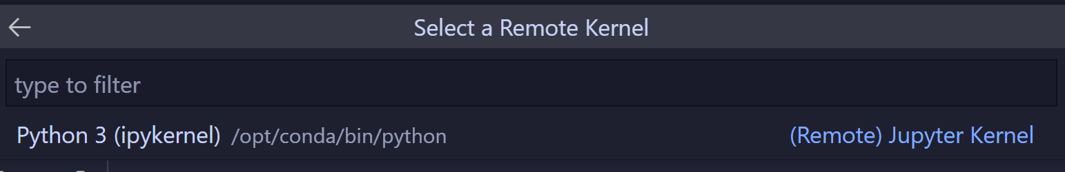 Remote Kernel