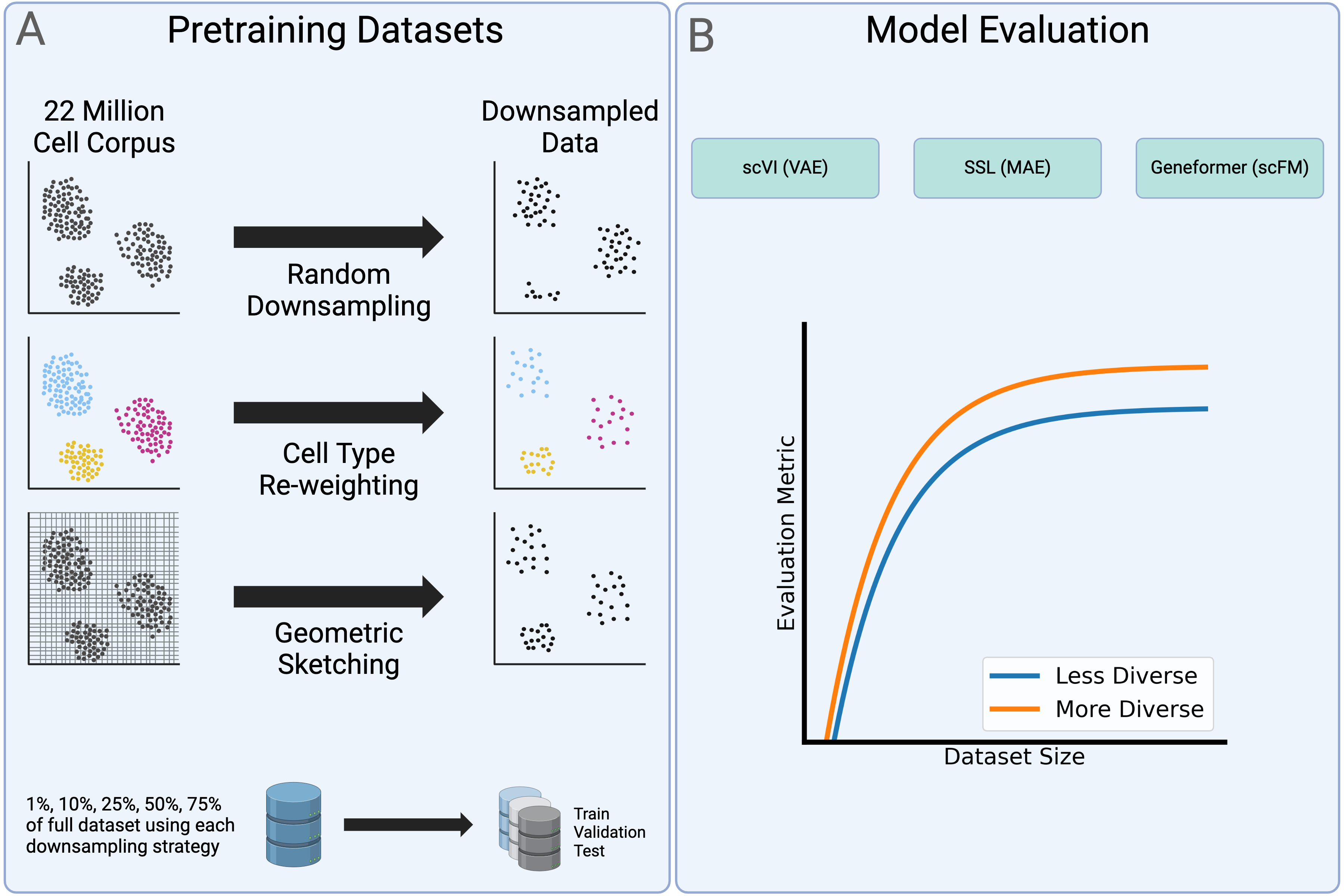 Fig. 1: Strategy to assess the effects of pre-training dataset size and diversity on scFM performance. (A) Schematic of the downsampling approaches, sizes of downsampled pre-training datasets, and data splitting strategy. (B) An example of what evaluation performance might \textit{a priori} be expected to look like as a function of pre-training dataset size and diversity.