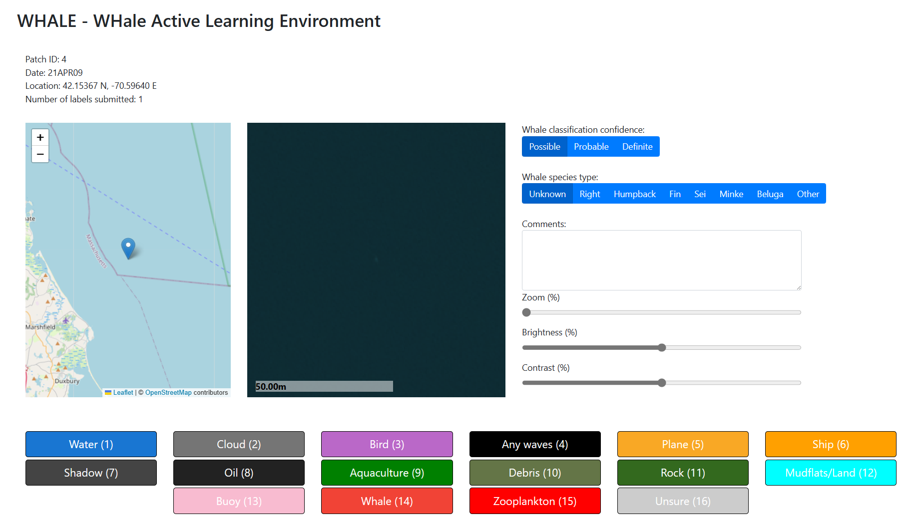 Screenshot of labeling tool