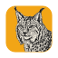LightCraft icon