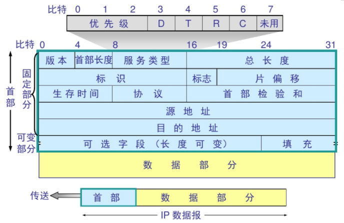 IP datagram format