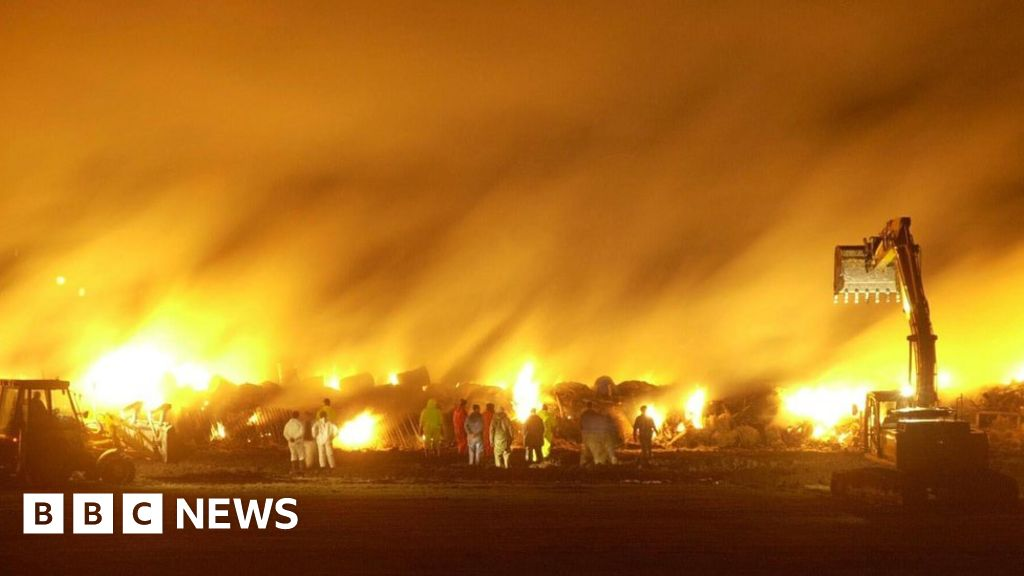 The Rural Siege: Britain’s Struggle Against the Plague