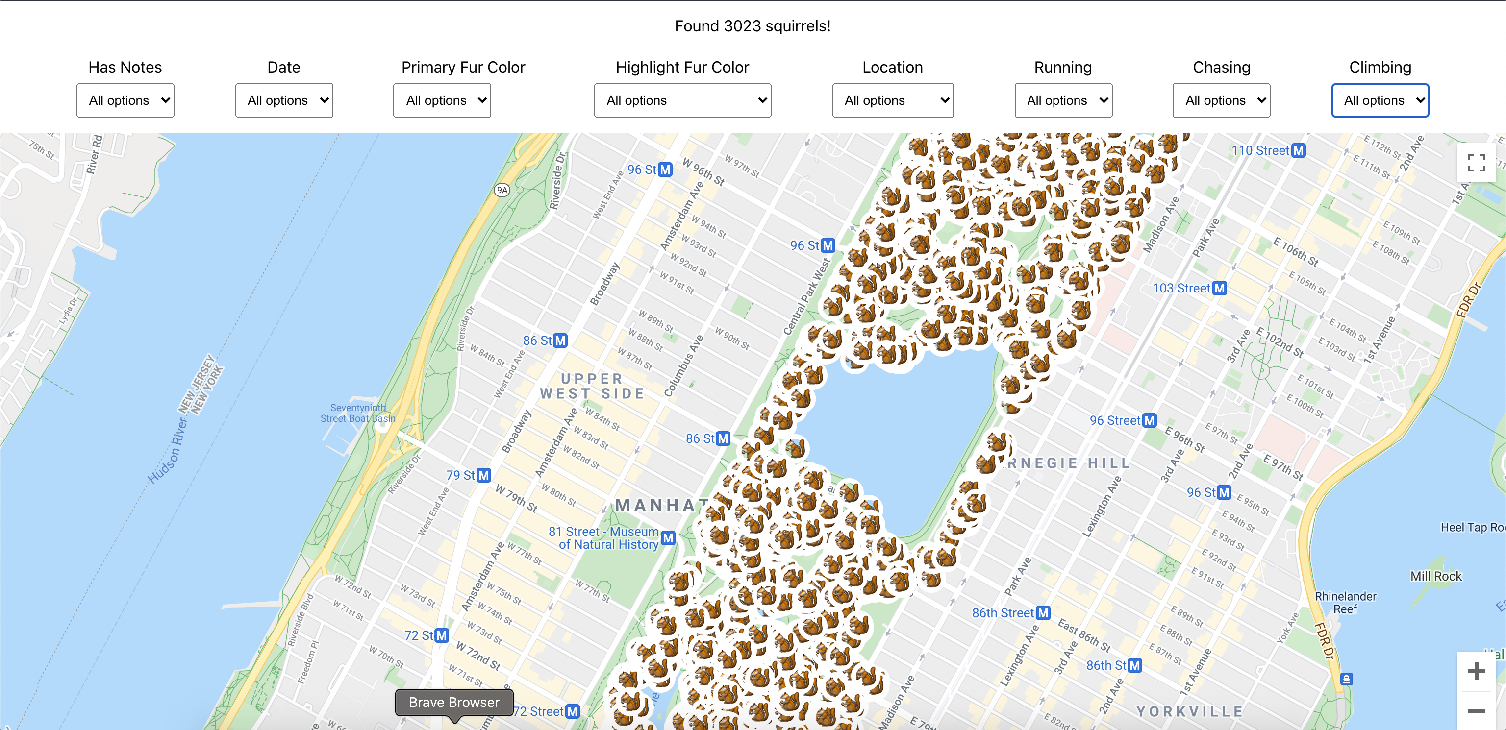 full results of NYC Squirrel Census on a map