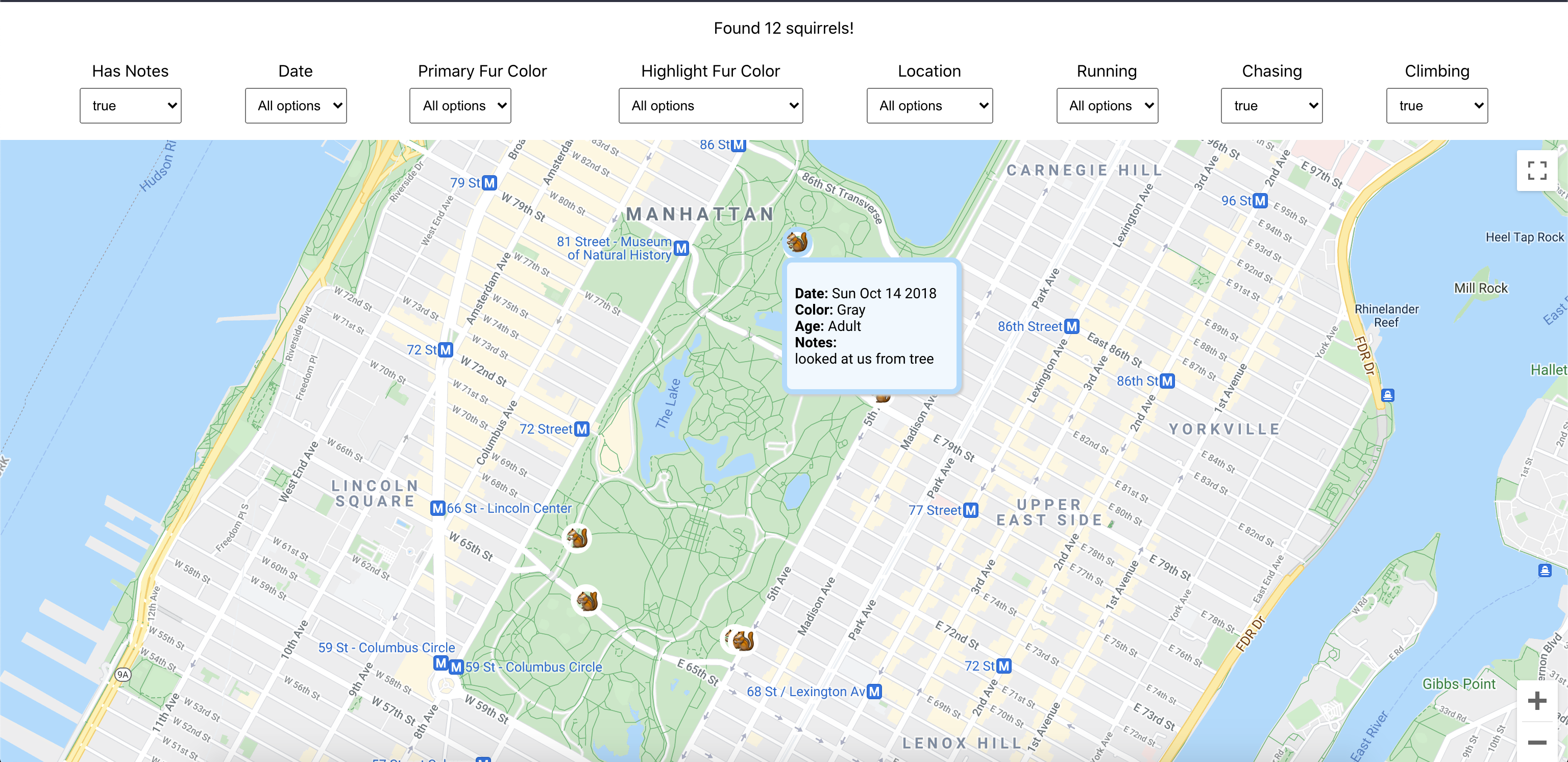 filtered results of NYC Squirrel Census on a map