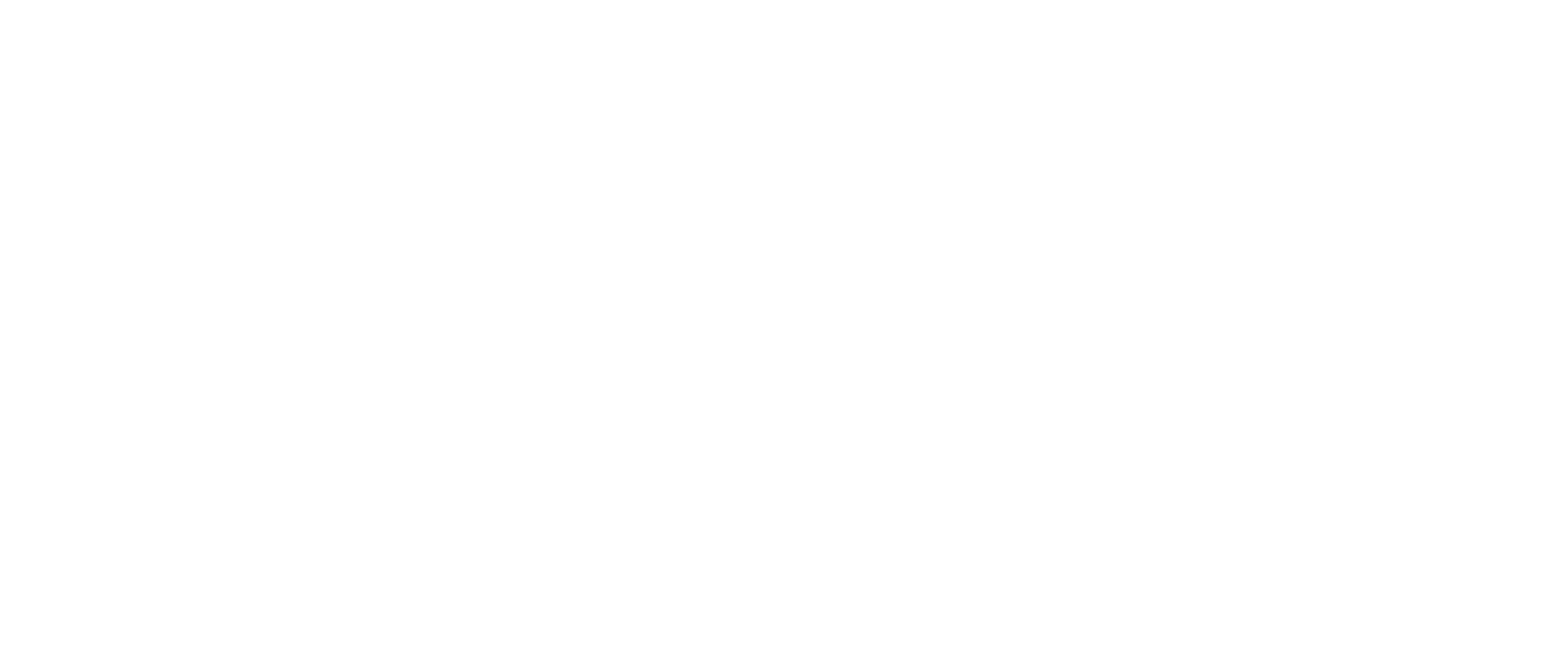 BoxMOT logo