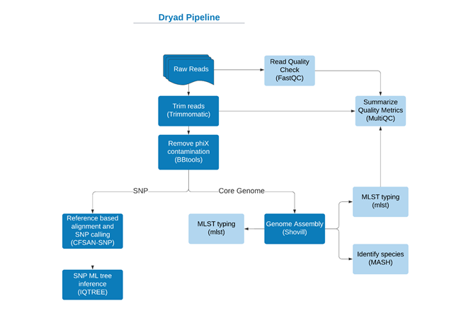 Dryad Workflow Image