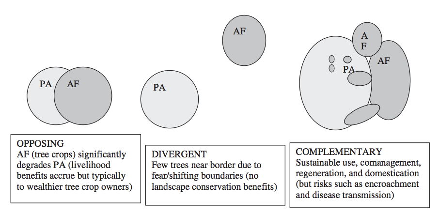 Three hypotheses for the spatial distribution of agroforestry in relation to protected areas from Russel et al, 2010. Policy has been shown to be a driver of which of these patterns is predominate on the landscape.