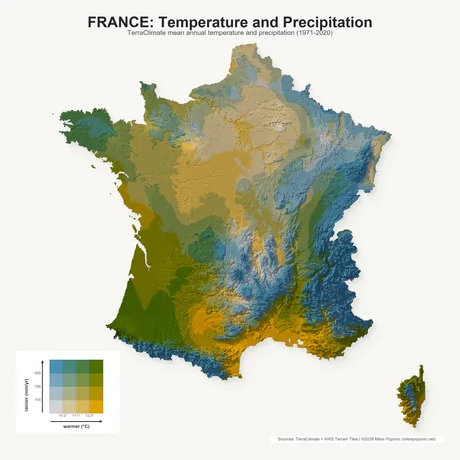 https://raw.githubusercontent.com/milos-agathon/forge3d/main/docs/assets/readme/france.webp