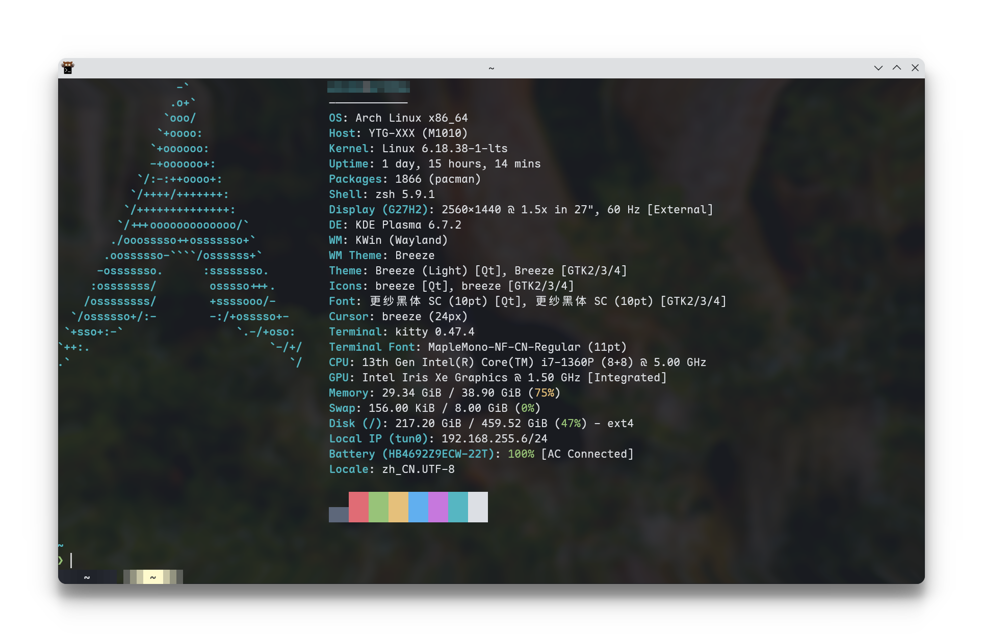 kitty_screenshot