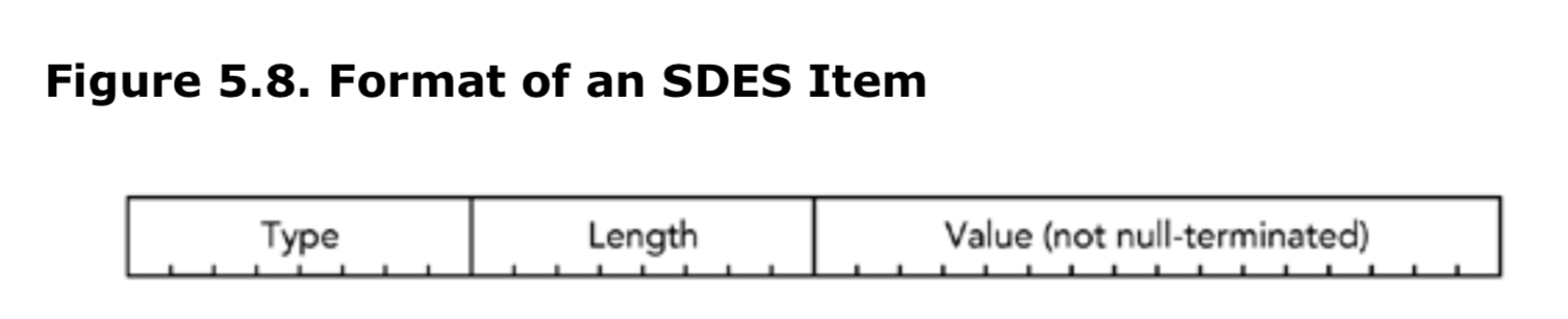 图5.8 SDES条目格式
