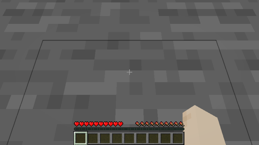 Nametag hidden by wall