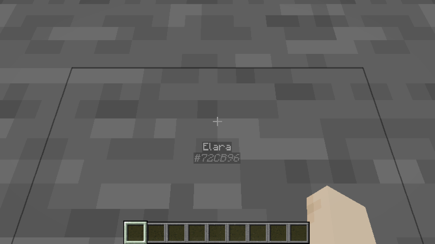 Nametag visible through wall in creative