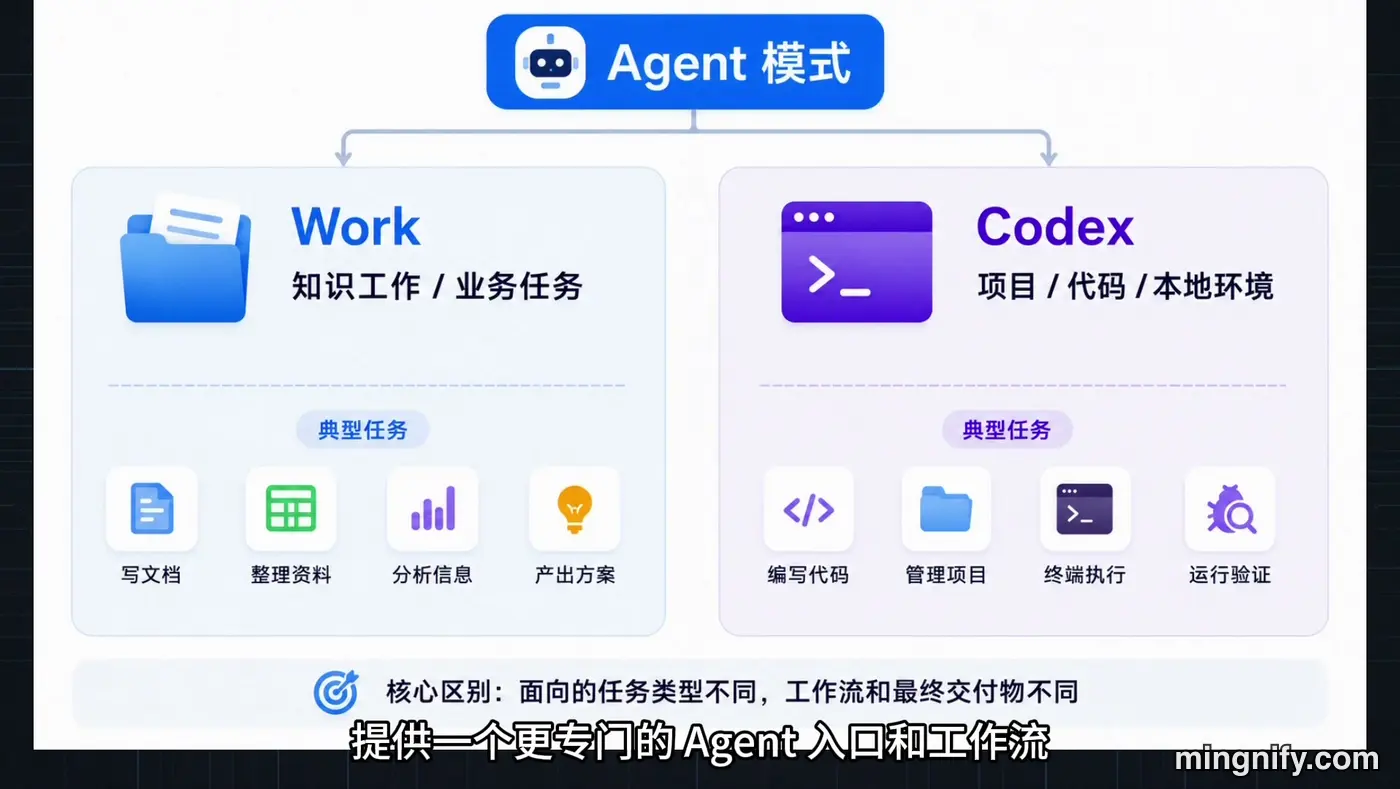 视频截图 02:02