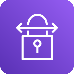 AWS Site-to-Site VPN icon