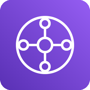 AWS Transit Gateway icon