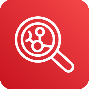 Amazon Inspector (Container Security) icon