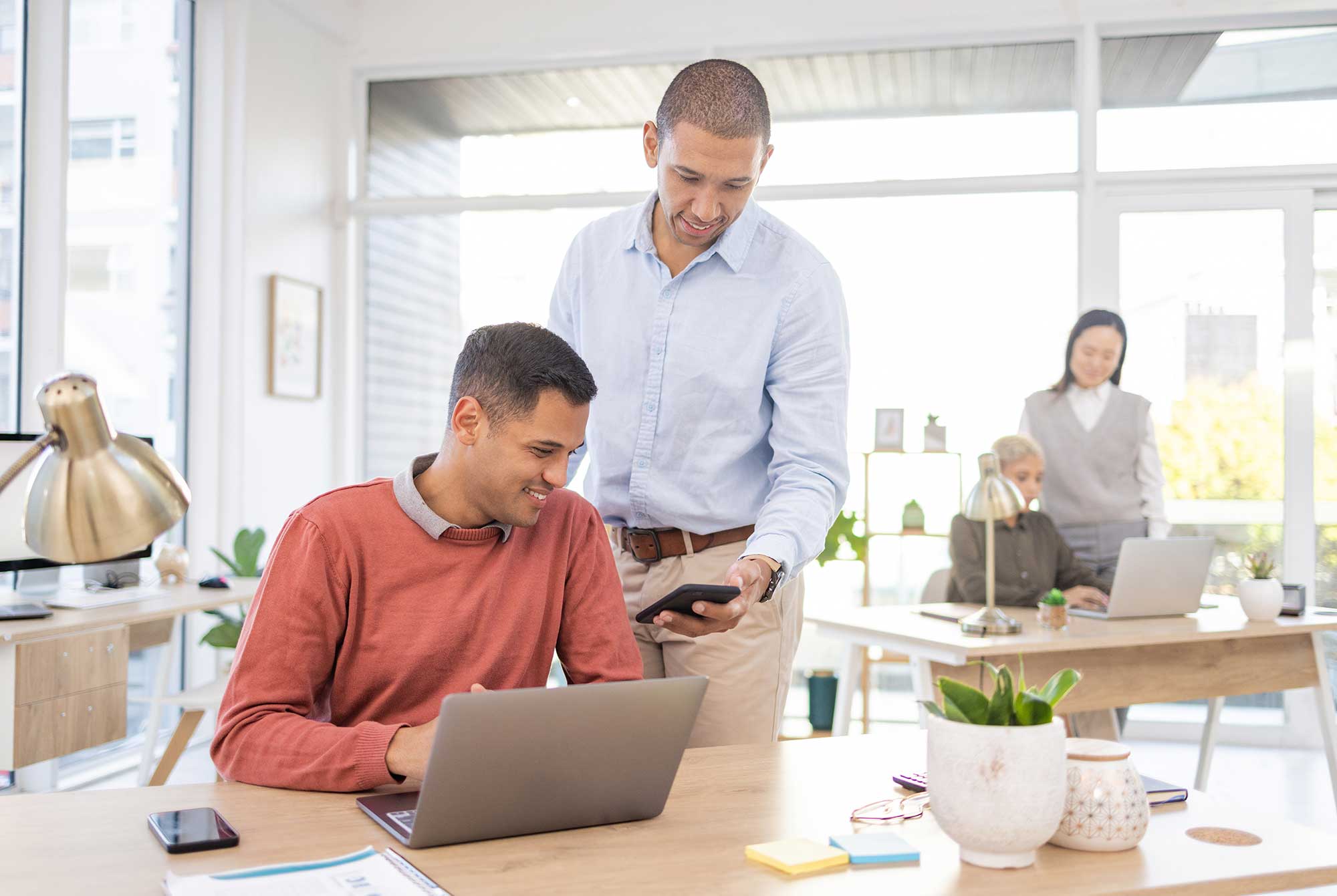 Consultants Meeting with Clients