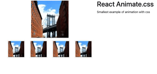 basic react animation.css