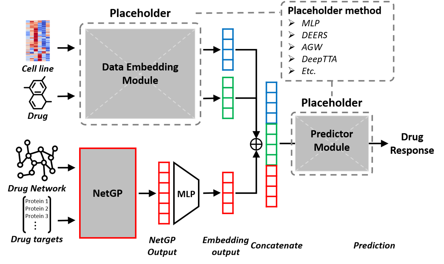 Experimental Setup