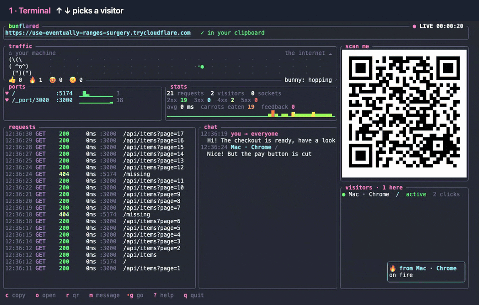 Driving the demo: pick a visitor, their page says it is followed, the radar draws their pointer, g sends them to the checkout