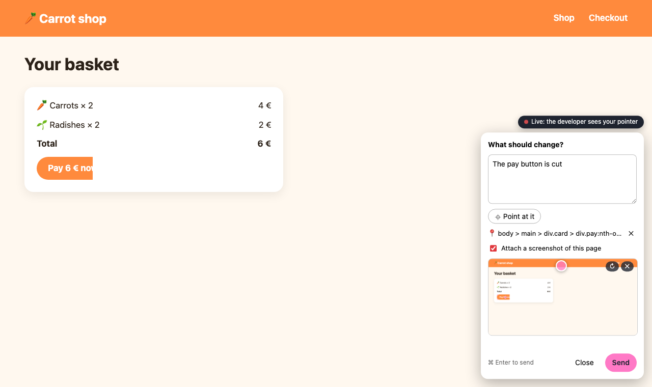 A note pinned on the pay button: the element's selector, and a screenshot of the page to send with it