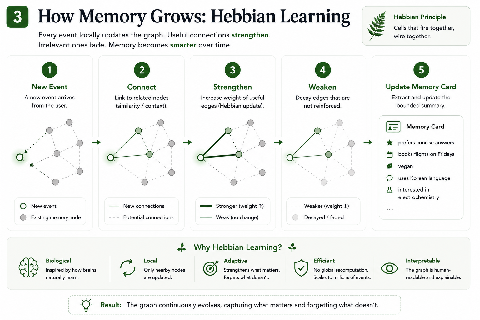 How memory grows
