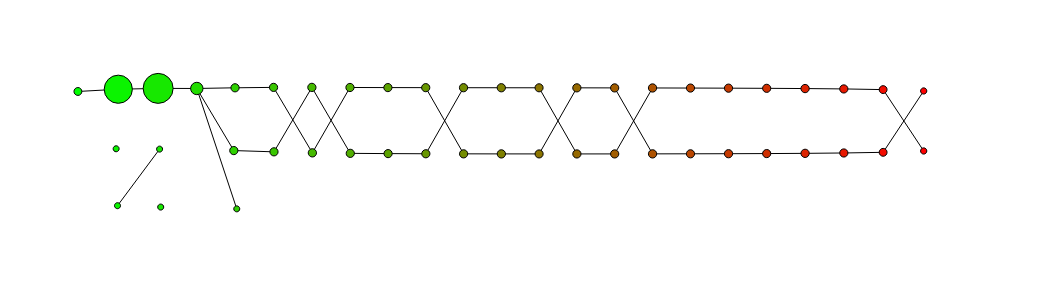 The result of the mapper construction The result of the mapper construction