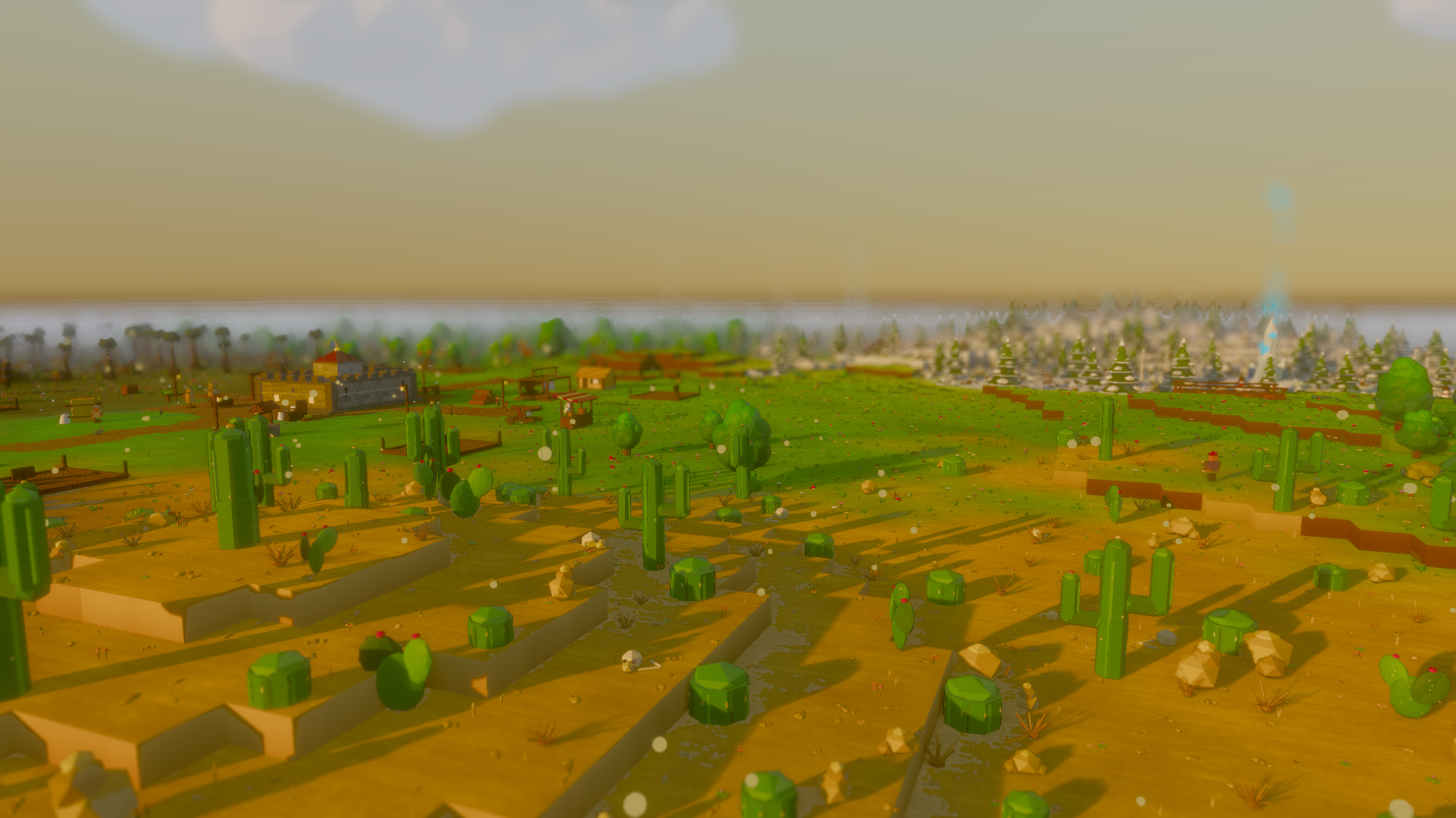 Desert biome