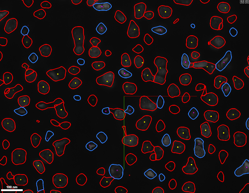 Sample of a z-slice annotations file viewed via NeuroTrALE