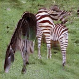 output (zebra)