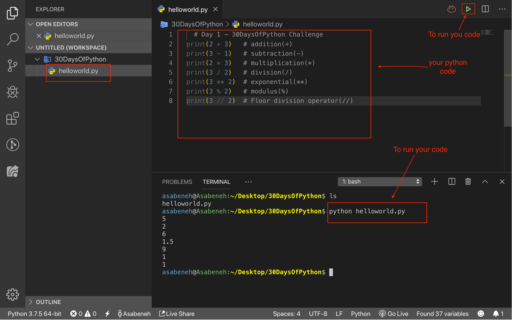 Running python script