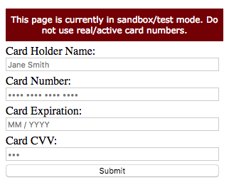 Example: Drop-in credit card form (blank)