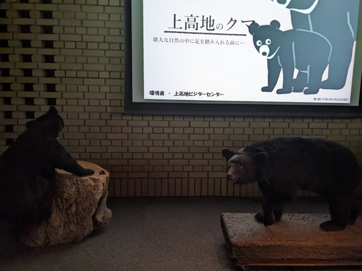 向かって右の四つんばいの子が故さわちゃん