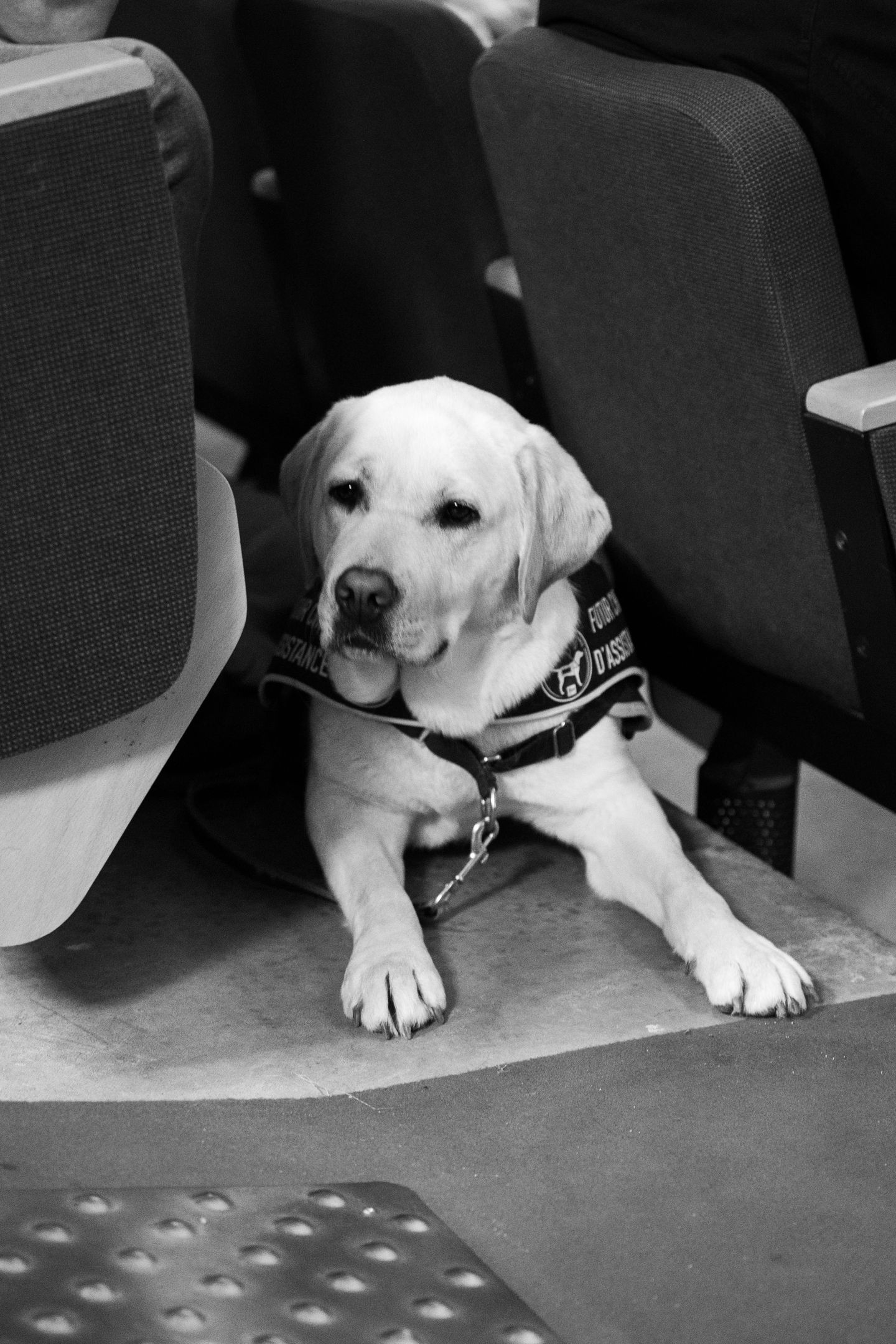 Photo mixit-J1_AM-93-DianeSevrin.jpg from Day 1 AM