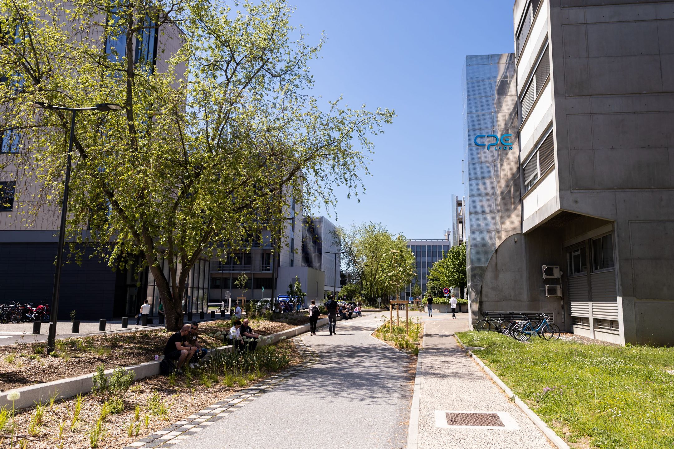 Photo mixit-J2-AM-188-DianeSevrin.jpg from Day 2 AM