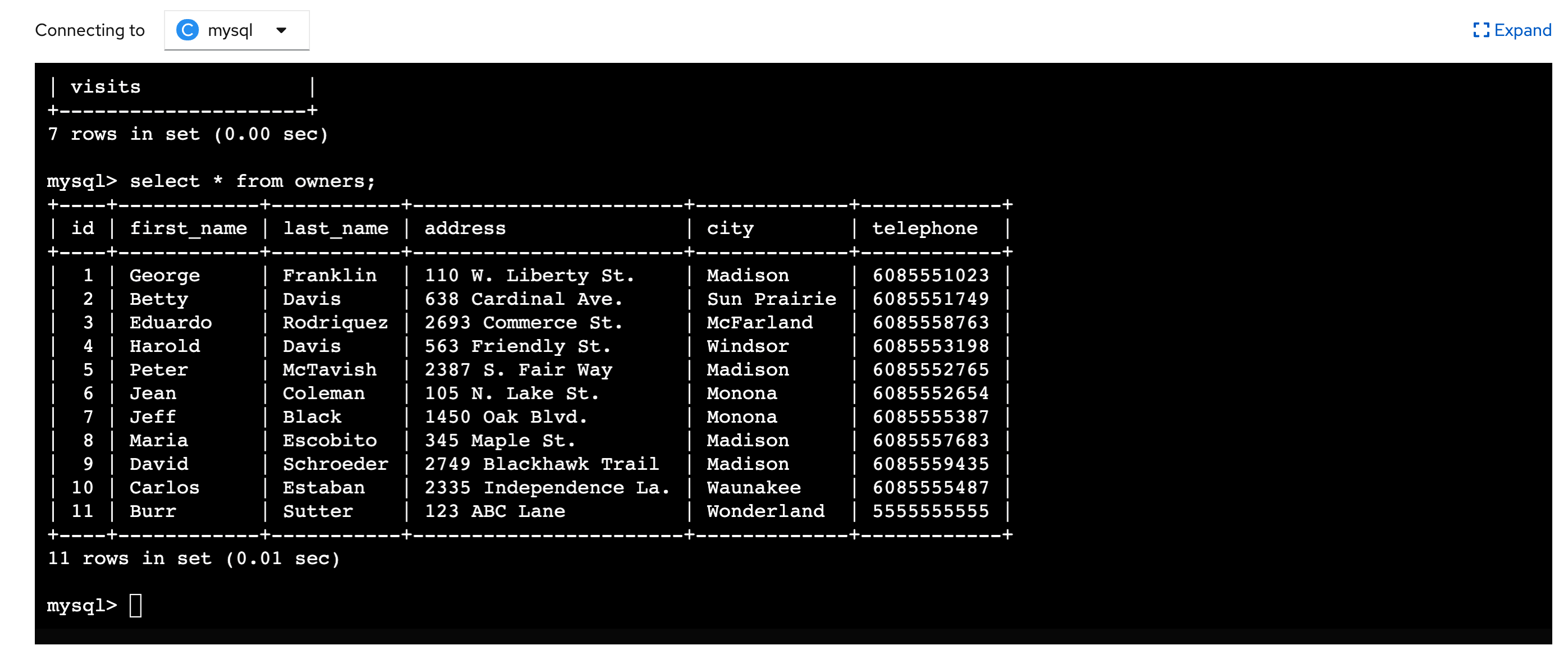 MySQL Terminal