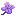 Clover Curio