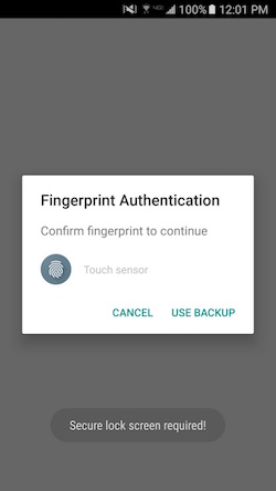 Fingerprint Auth Dialog No Backup
