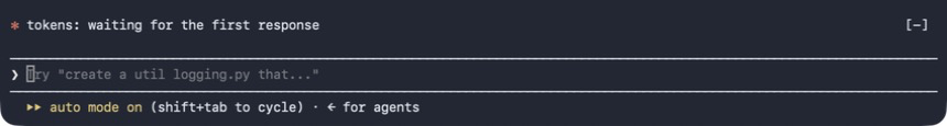 Token usage line in a new session
